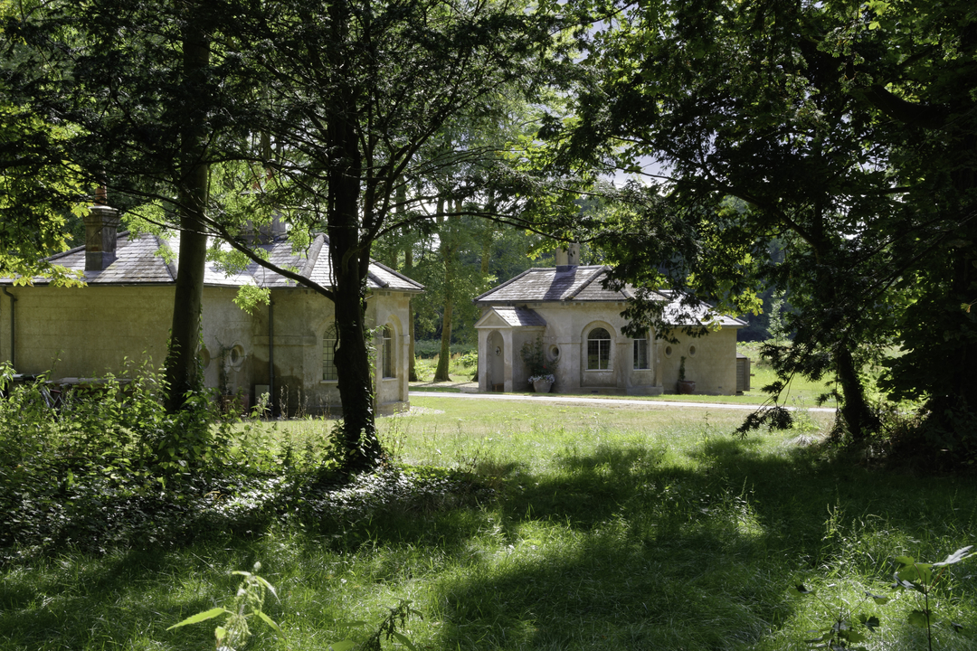 20160722 162435  Wimborne St Giles, Dorset, UK